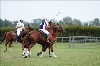 UKPA NC SAT_2733